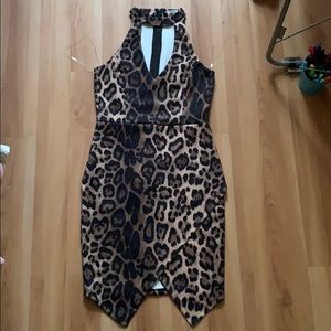 Leopard print dress never warn